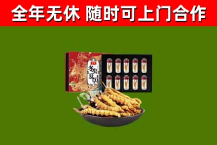 双滦回收冬虫夏草价格