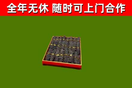 双滦回收海参